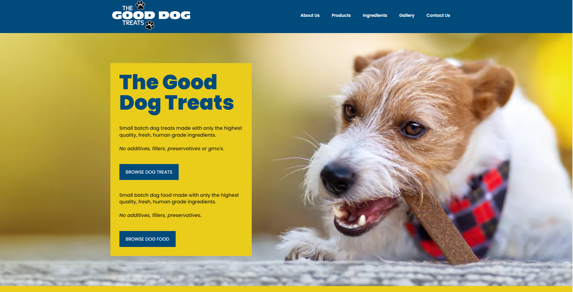 Dog treat outlet websites