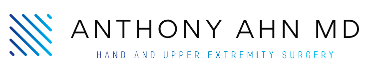 anthony ahn manhattan beach ca 