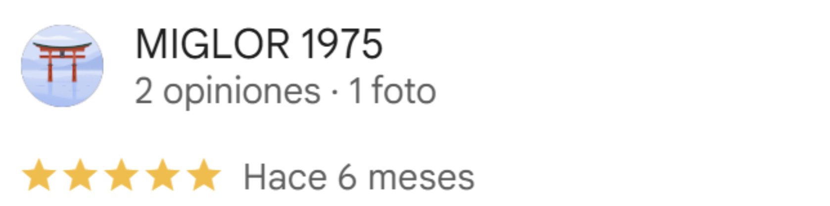 Reseña Google 1