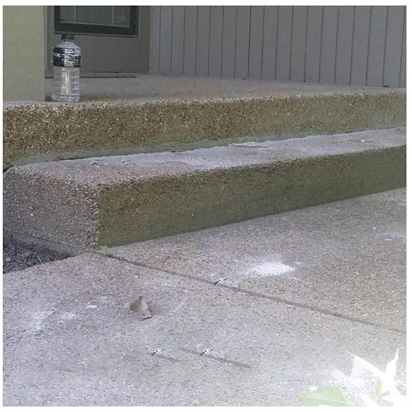 Stoops Steps Concrete Levelling Calgary Stoops Steps Concrete Lifting Calgary