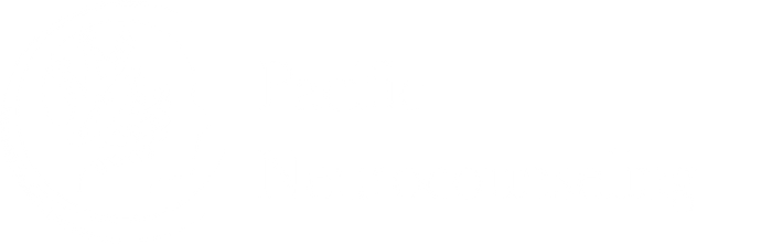 Seattle Neurocounseling Logo Image