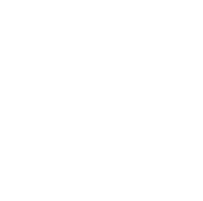 World on the Fly Travel