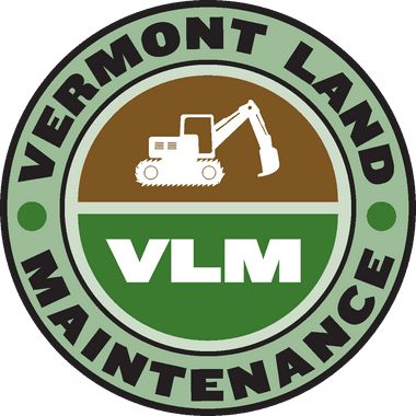 Logo VLM