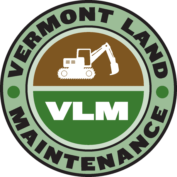 VLM Logo