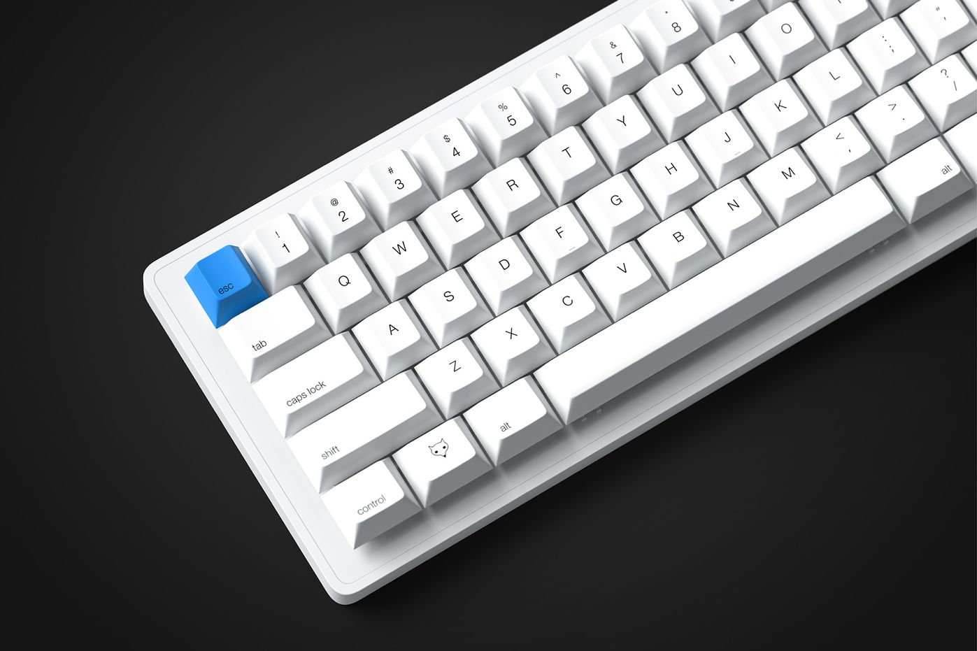 The WhiteFox Eclipse - Magnetic Gasket Mechanical Keyboard