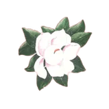 Magnolia Dental Practice in Columbia