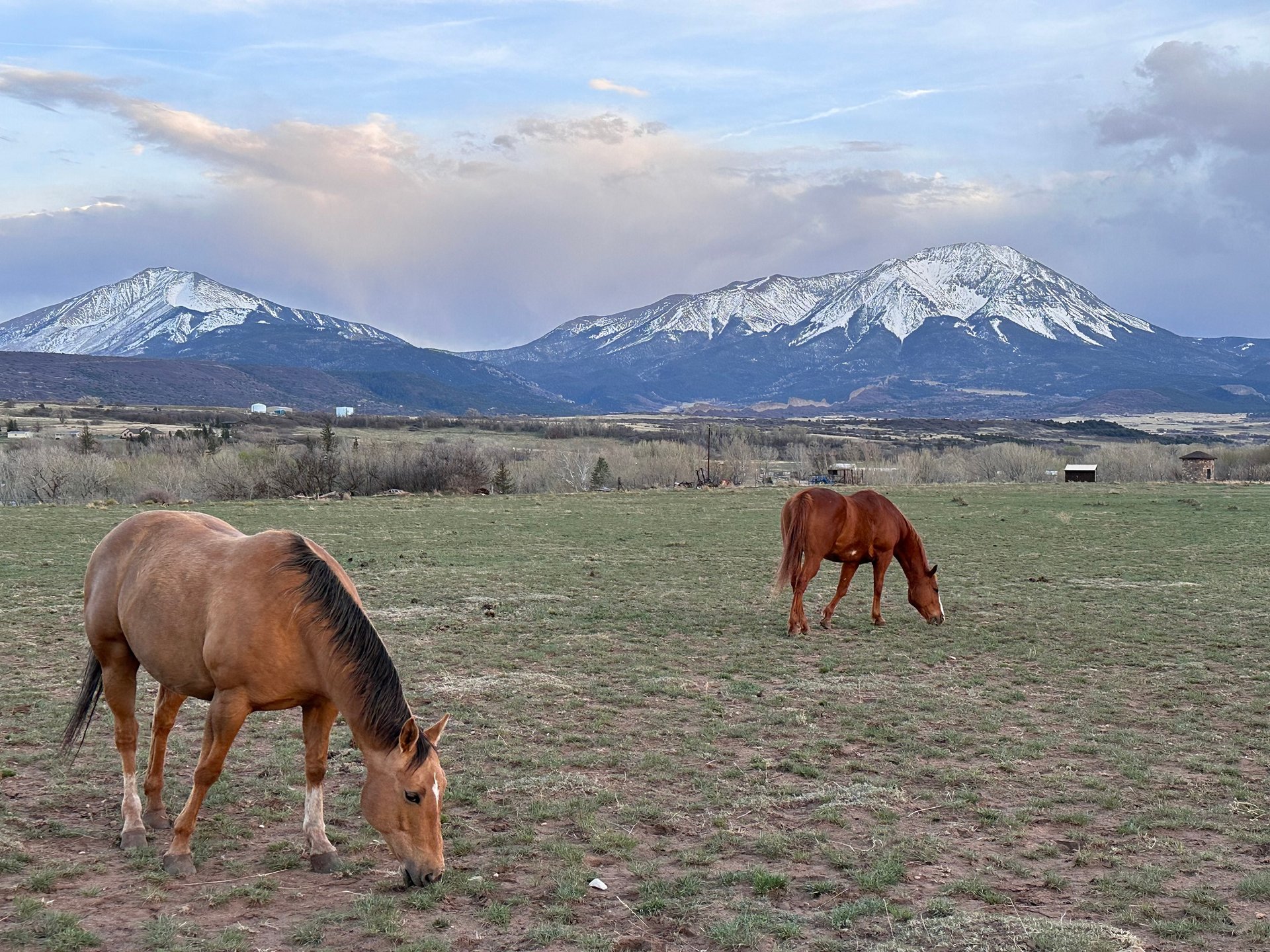Plan Your Visit to La Veta Colorado Estelle Center for Creative Arts