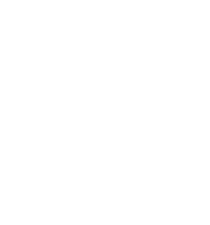 Apex Wellness & Aesthetics Footer Logo.