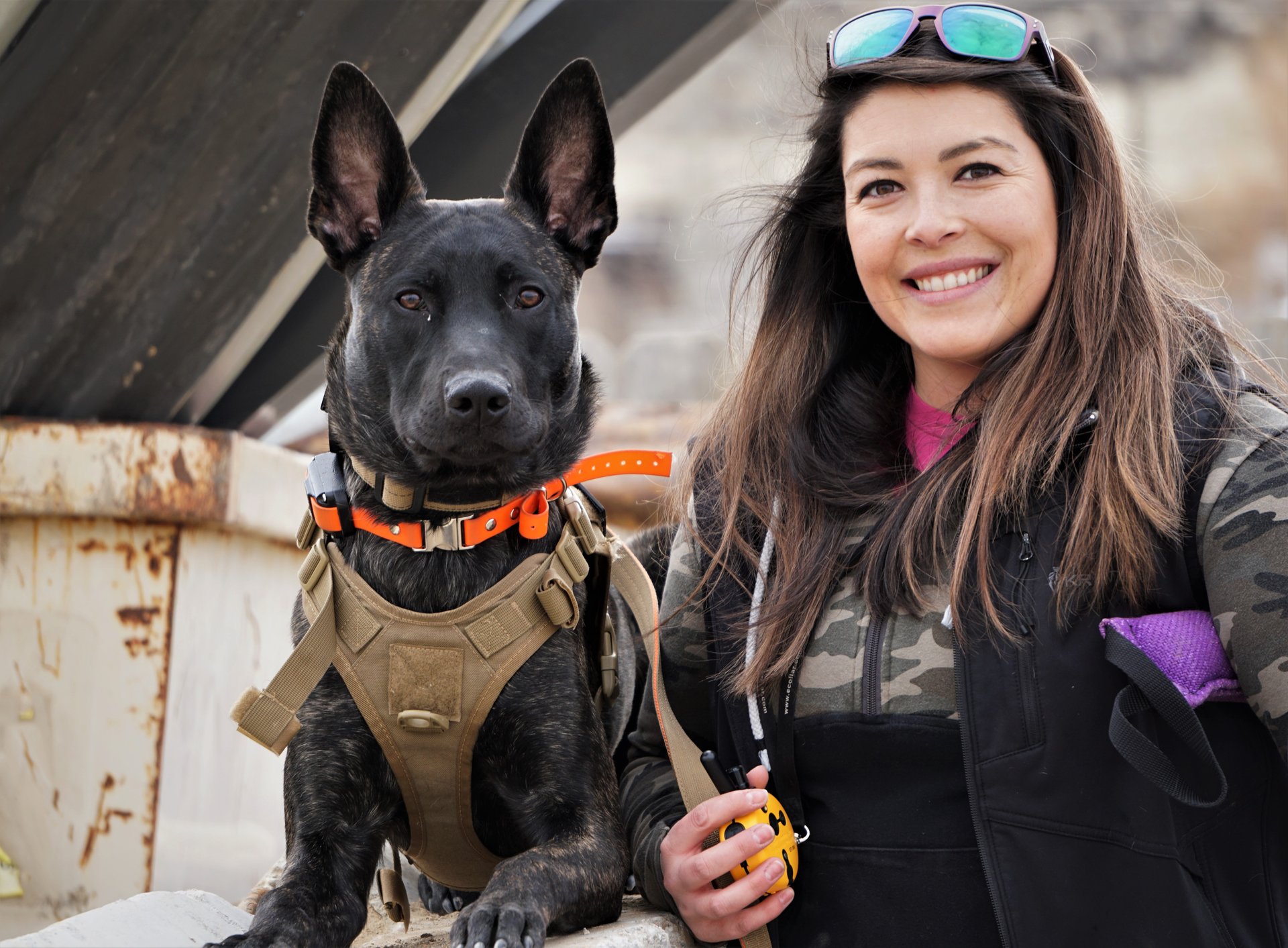 Exceptional Dog Kennels near Boise, ID | Valhalla K9 Kennels