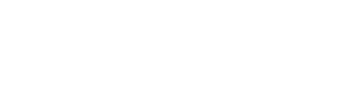 VPC Chemicals Logo