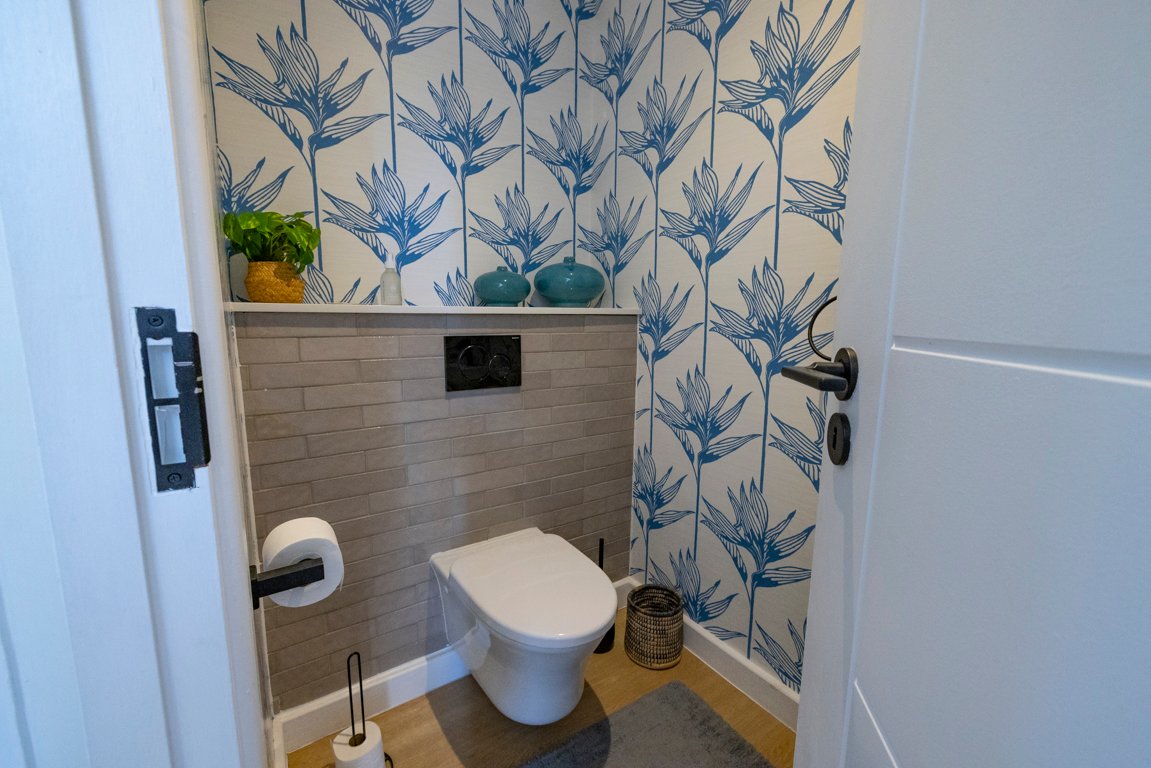 More photos of Dolphin Dream