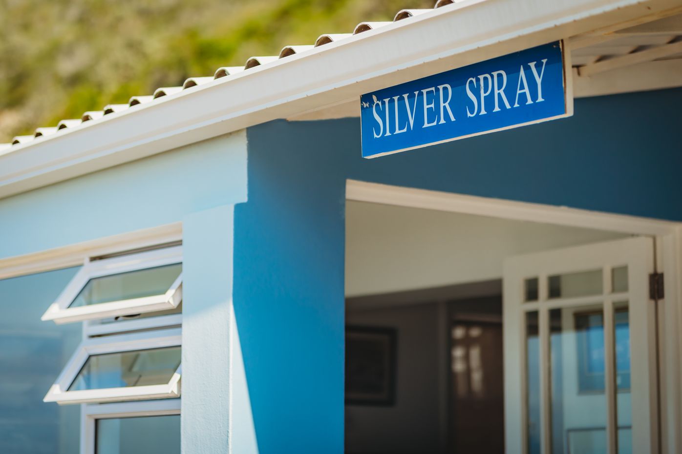 More photos of Silver Spray