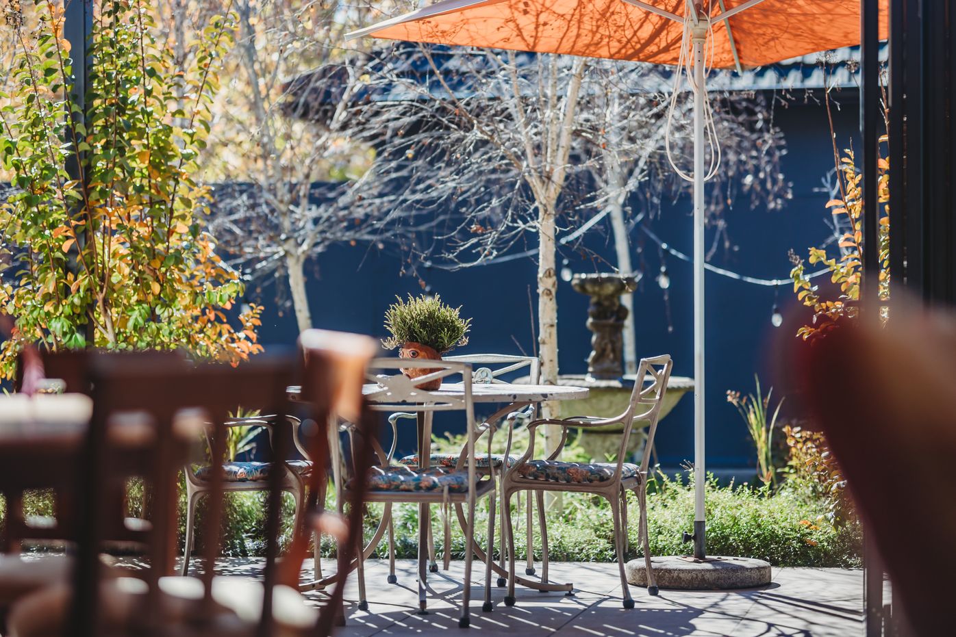More photos of Acorn Guest House