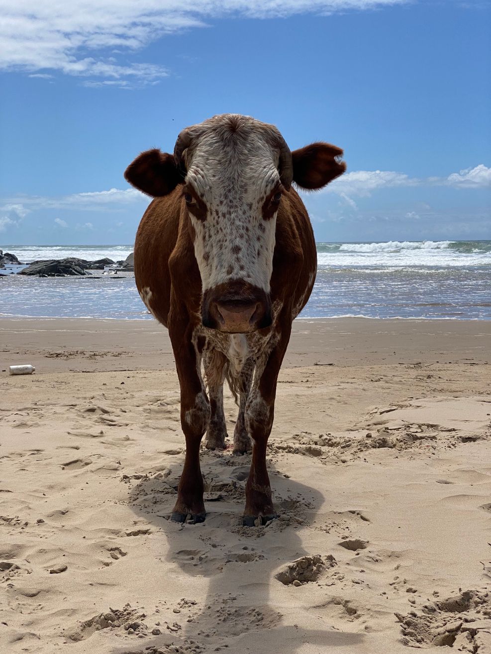 More photos of Mazeppa Sunrise