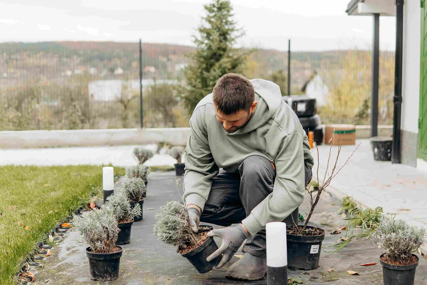 Послуги садівника у Львові: професійний догляд за вашим садом від Gardener
