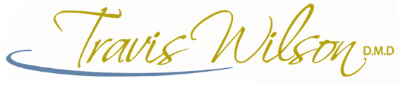Travis Wilson DMD