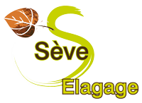 SEVE ELAGAGE