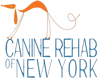 CANINE REHAB of NEW YORK