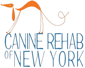 Header Logo.
