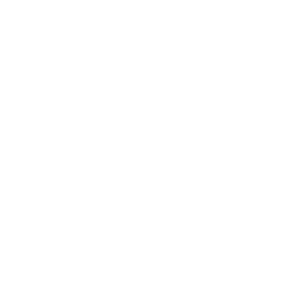 Athene Noctua Property Specialist Hub Ltd