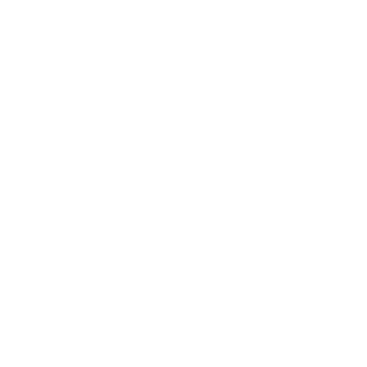 Athene Noctua Property Specialist Hub Ltd