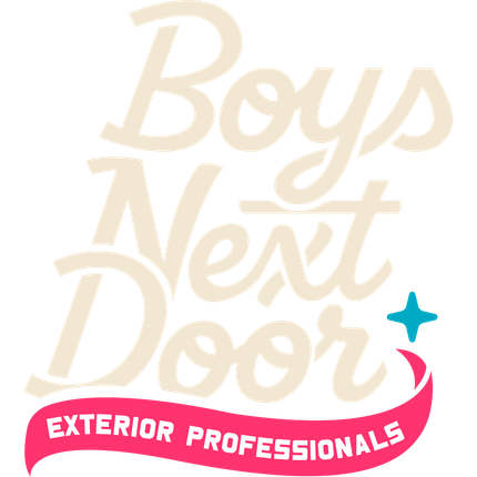 Boys Next Door Logo