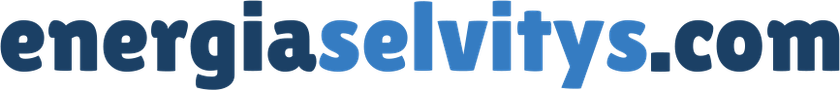 energiaselvitys.com