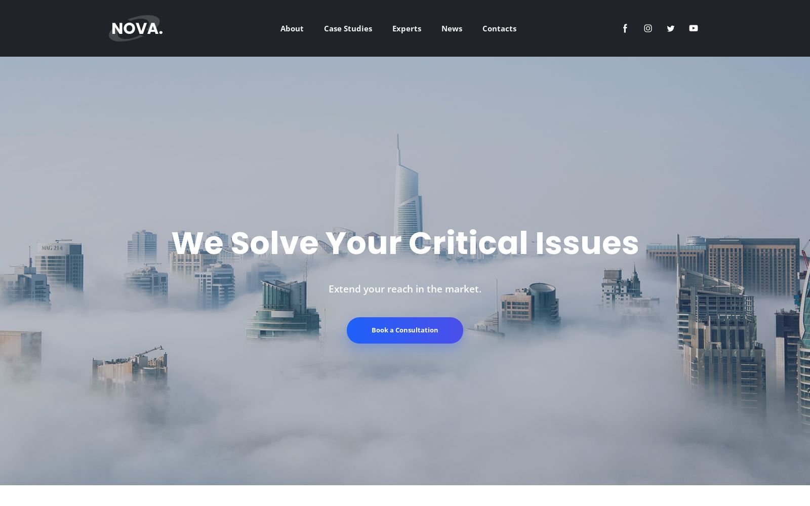 Simple Business Website Template for Consulting Company image