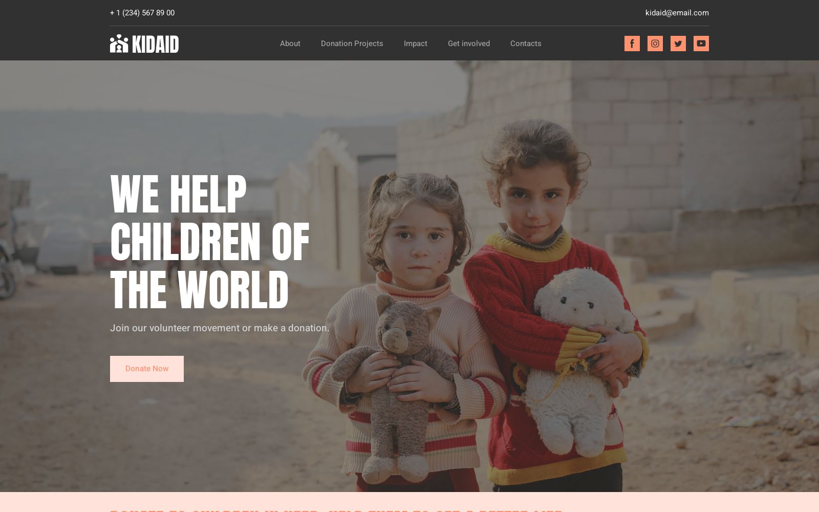 NGO website design image