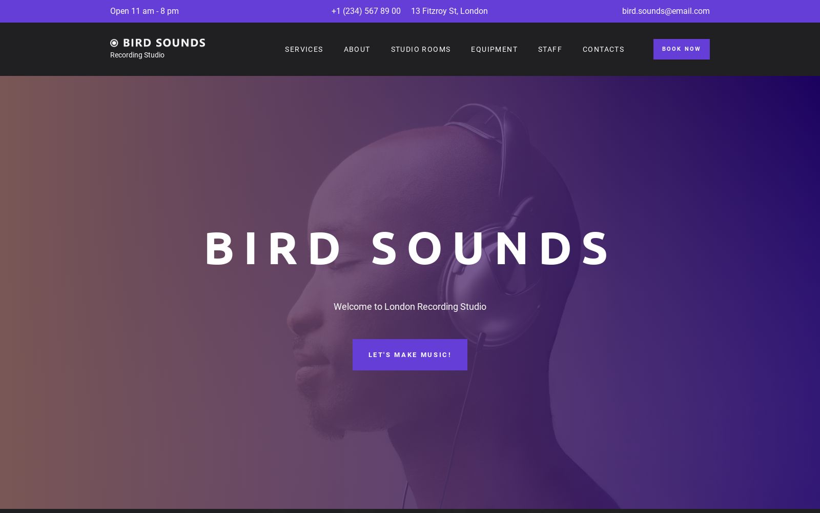 Audio Website Template Image