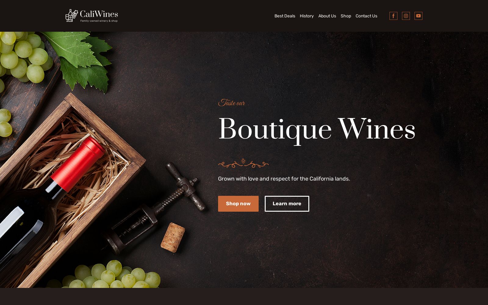 Liquor Store Website Template Image