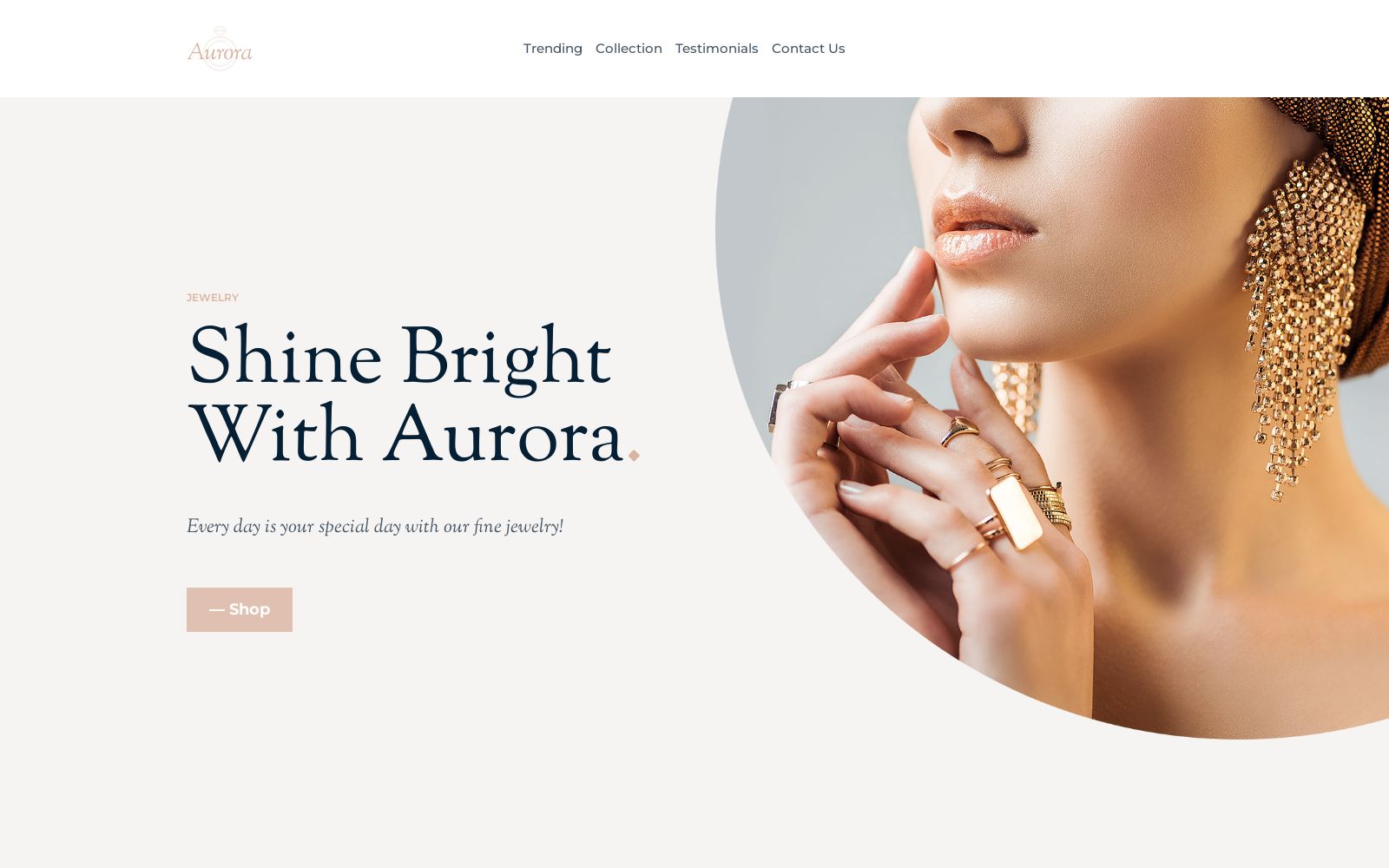 Custom Jewelry Website Template Image