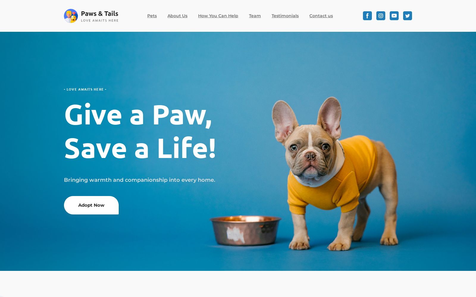 Animal Shelter Website Template Image
